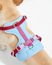 Light Blue Colorblock Pet Harness