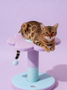 Cat Tree - No.3
